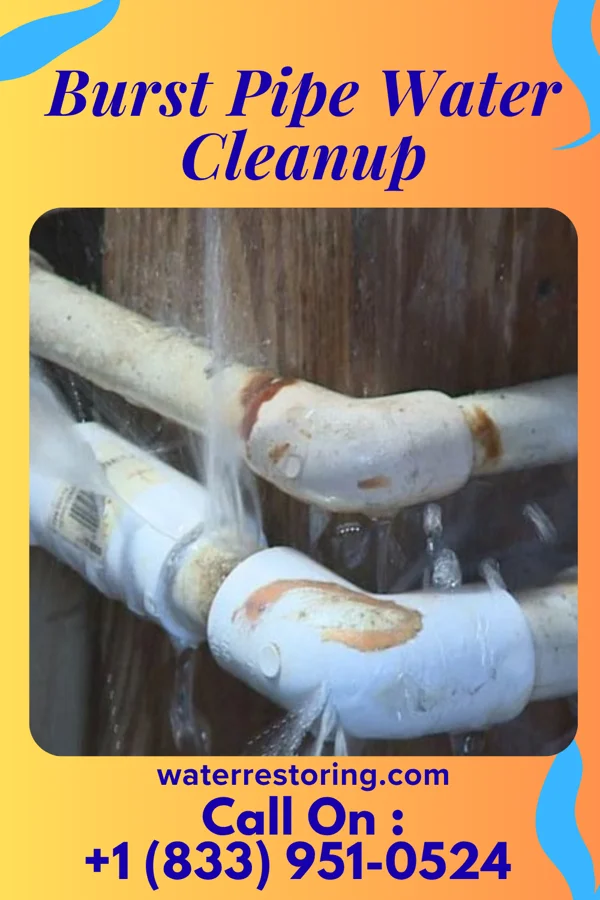 Burst Pipe Water Cleanup in Red Springs, NC