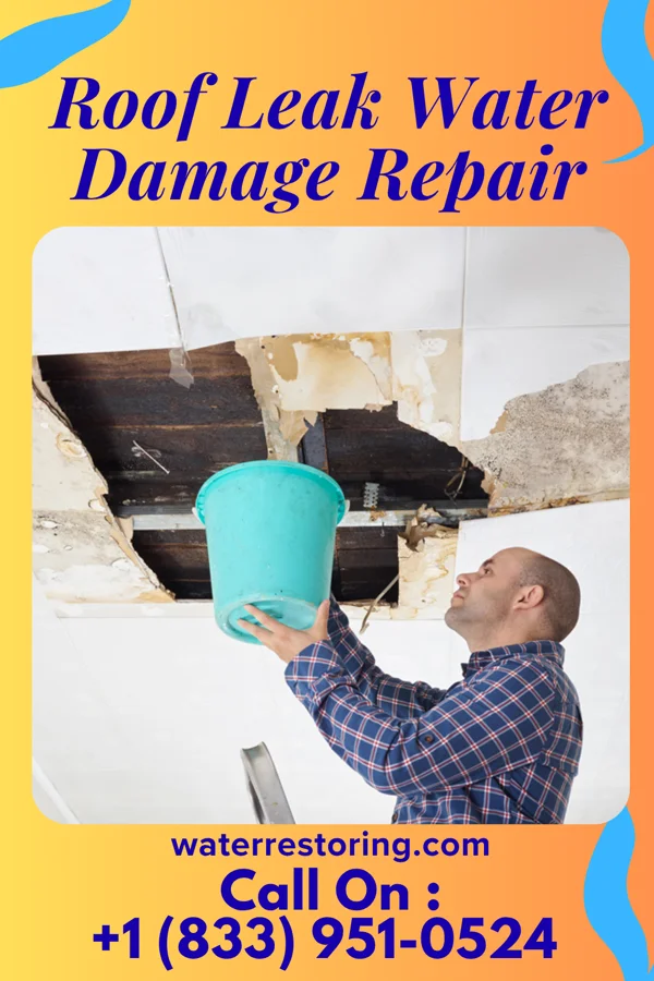 Roof Leak Water Damage Repair in Red Springs, NC