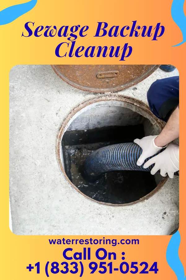 Sewage Backup Cleanup in Red Springs, NC