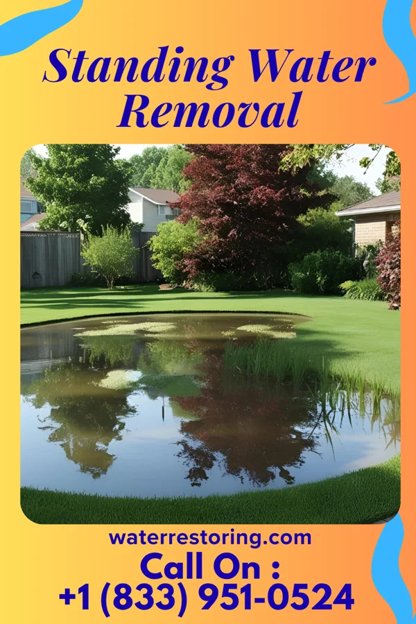 Standing Water Removal in Red Springs, NC